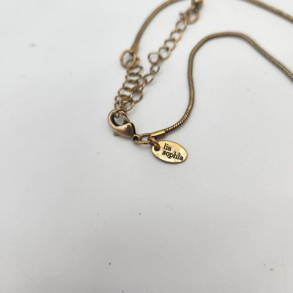Lia Sophia Honey Necklace 16"-19" - Picture 3 of 5